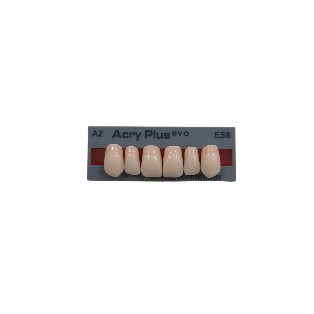 Acryplus Evo incisivi superiori x6