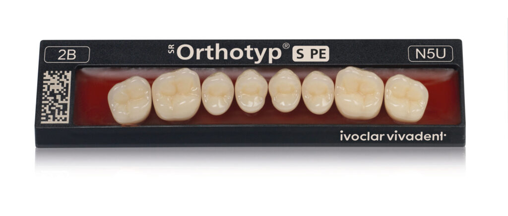 DENTI S PE INCISIVI INFERIORI x6