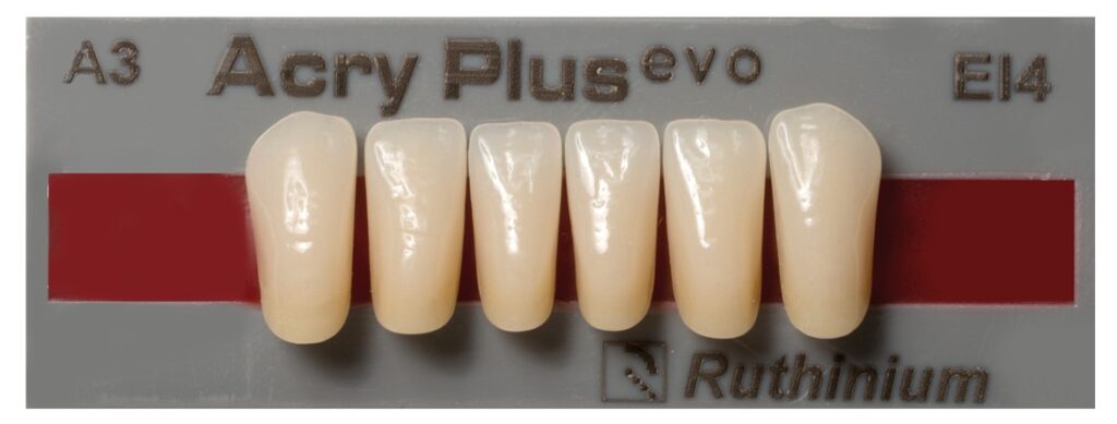 DENTI ACRYPLUS EVO INCISIVI INFERIORI x6