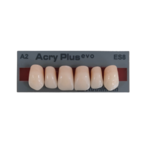 denti acryplus evo incisivi superiori x6